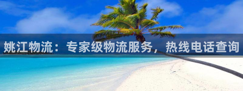 28圈辅助：姚江物流：专家级物流服务