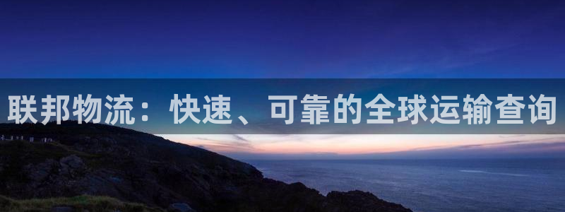 28圈注册登录：联邦物流：快速、可靠