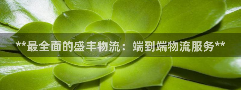 28圈PG电子游戏