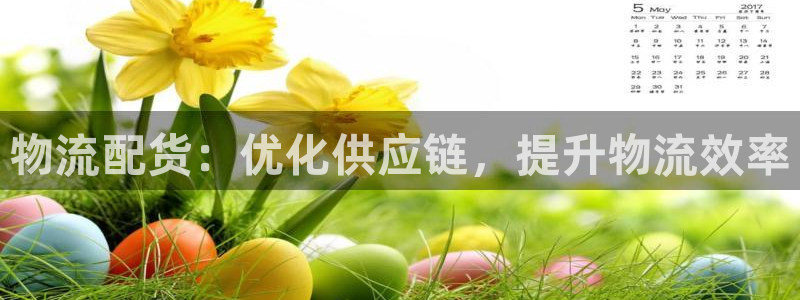 28圈app官网少林足球