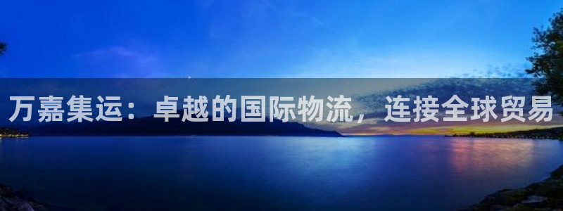 28圈选28ng官网：万嘉集运：卓越