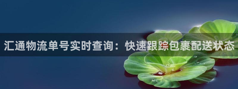 28圈的自行车：汇通物流单号实时查询