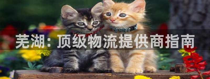 28圈稳吗：芜湖: 顶级物流提供商指