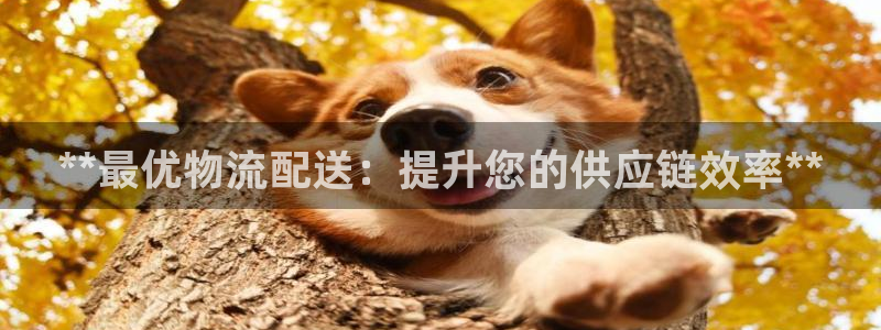 28圈.ccm正版