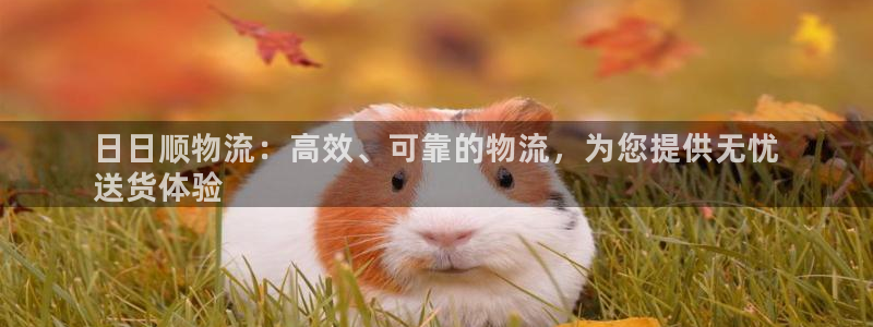 28圈充值不处理：日日顺物流：高效、