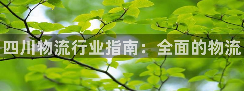 28圈链官网