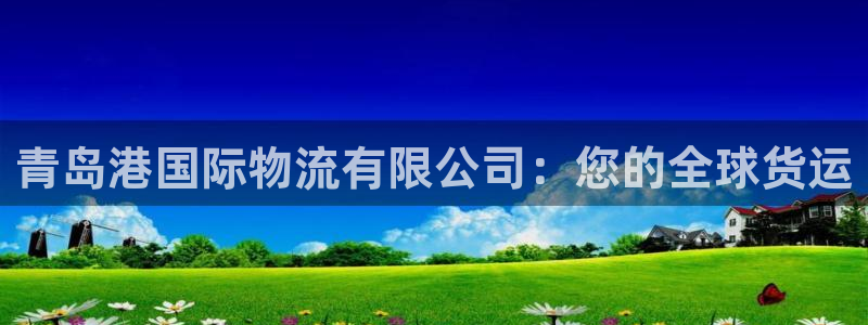28圈最稳打法：青岛港国际物流有限公
