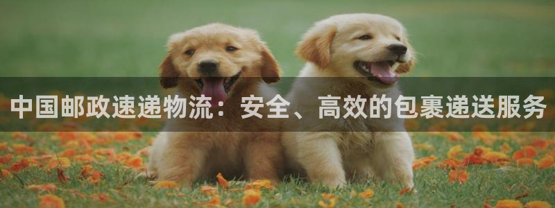 南宫28圈官网：中国邮政速递物流：安