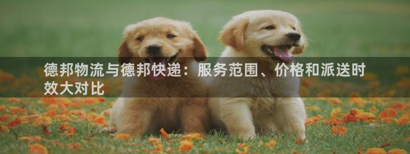 28圈充值不处理会怎么样