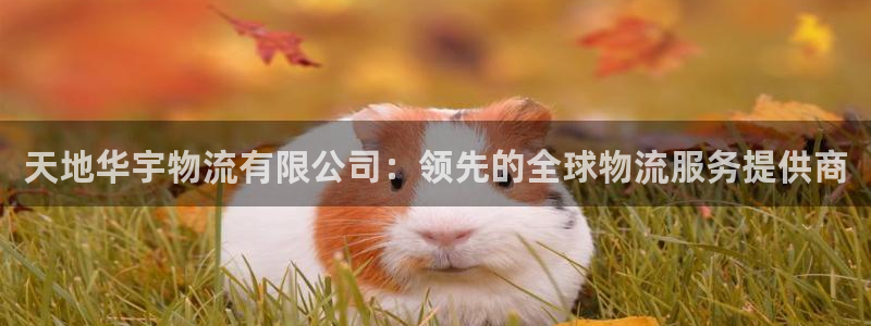 pc28圈怎么注册：天地华宇物流有限