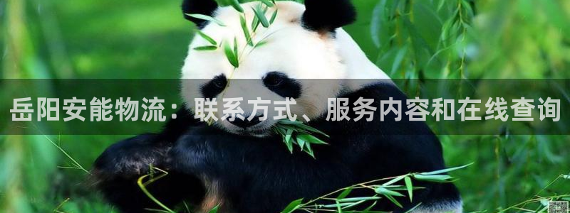 28圈充值为什么充不了
