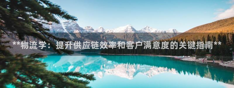 28圈那个才是充值账号