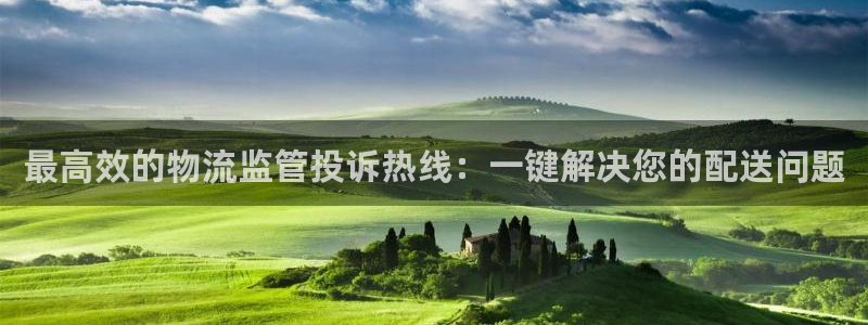 28圈官网网站：最高效的物流监管投诉