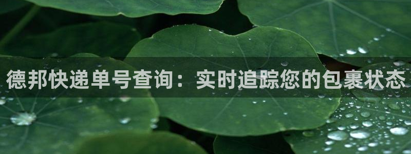 28圈官网下载链接是什么网站：德邦快