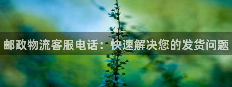 28圈充值不处理怎么办