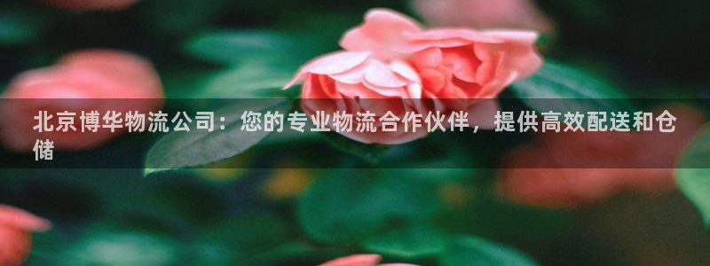 28圈可以退款吗：北京博华物流公司：