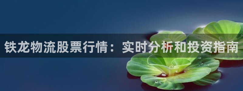 28圈吧：铁龙物流股票行情：实时分析