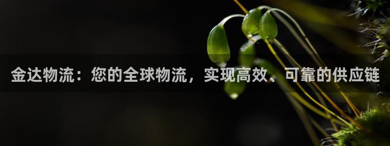 28圈怎么注册：金达物流：您的全球物