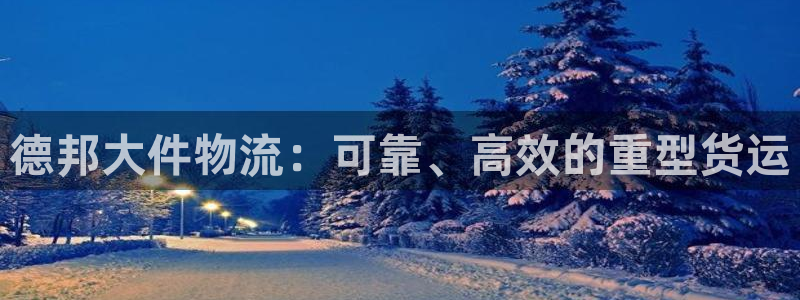 28圈辅助：德邦大件物流：可靠、高效