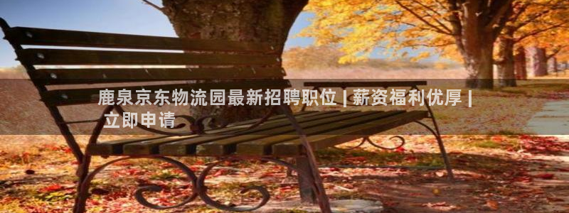 28圈官网版下载