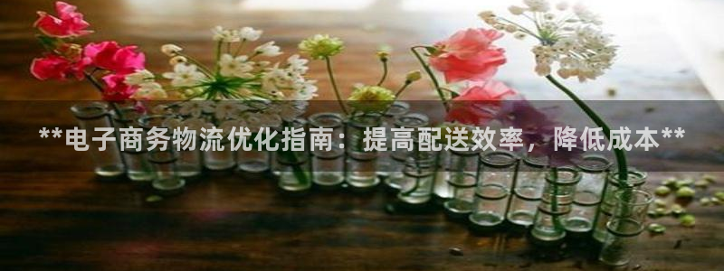 28圈加拿大2.8预测在线预测