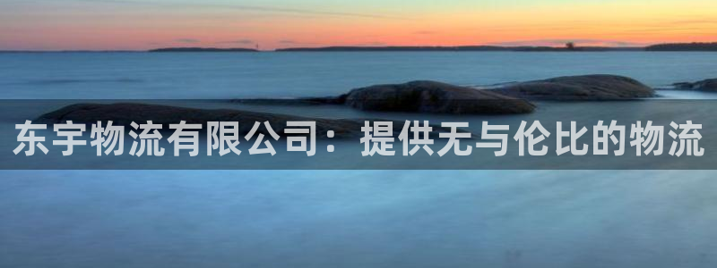 28圈登录流程：东宇物流有限公司：提