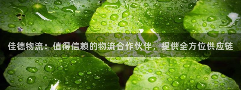 28圈加拿大开奖