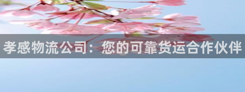 28圈官网平台下载：孝感物流公司：您