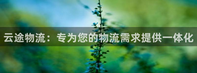 28圈注册与教程：云途物流：专为您的