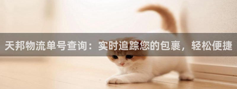 28圈黑不黑