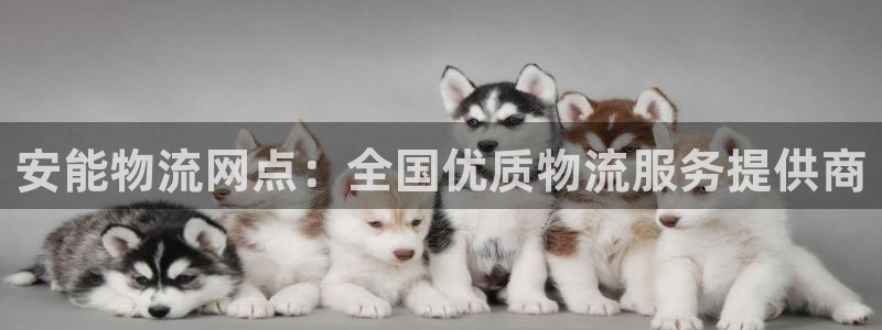 28圈注册账号：安能物流网点：全国优