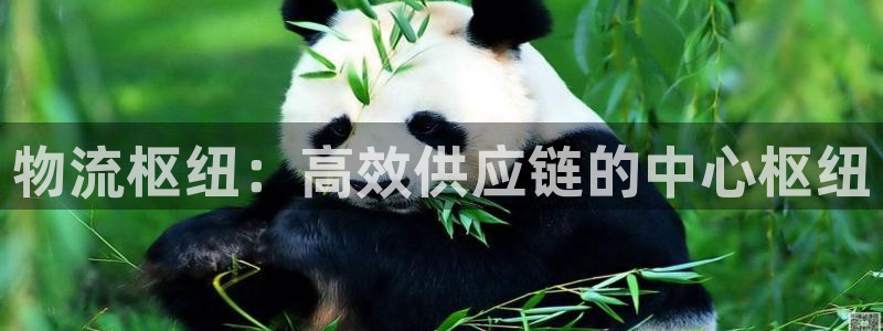 28圈游戏链接：物流枢纽：高效供应链