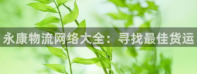 28圈注册问一问