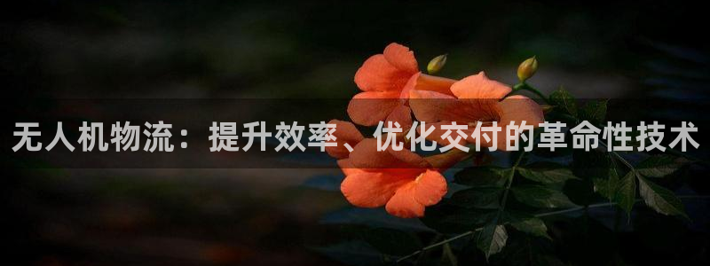 28圈注册网站多少