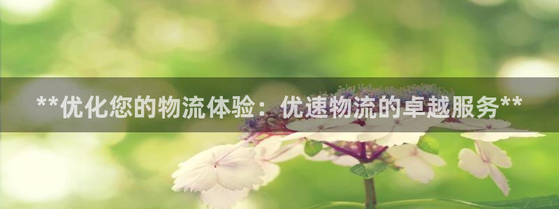 28圈官网多少