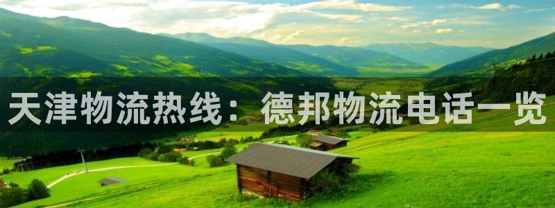 28圈电子游戏