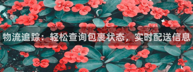 28圈注册网站多少钱一个：物流追踪：