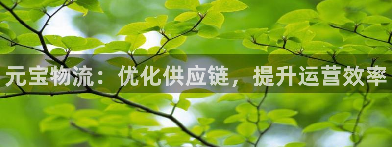28圈官方