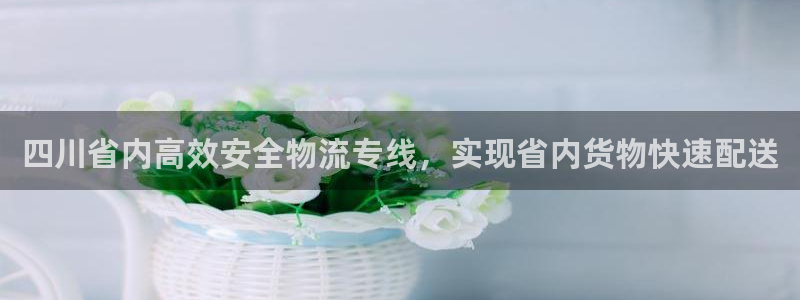 28圈预测加拿大师准：四川省内高效安