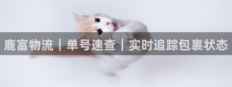 28圈官方