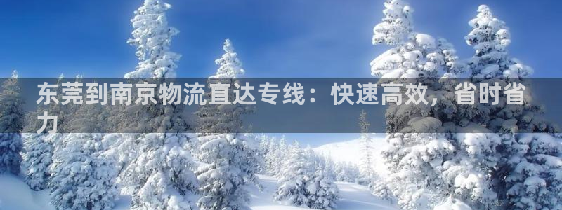28圈辅助