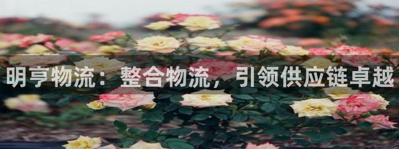 28圈.ccmpc正版