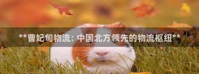 28圈加拿大怎么玩：**曹妃甸物流: