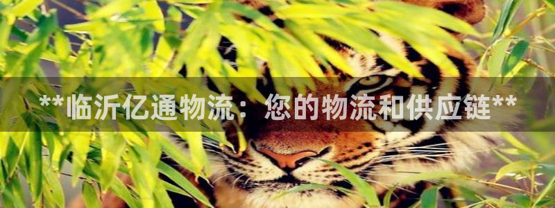 28圈.ccmpc29官网版下载