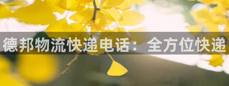 28圈怎么下载不了