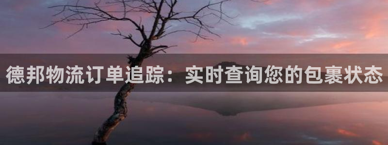 28圈稳吗：德邦物流订单追踪：实时查