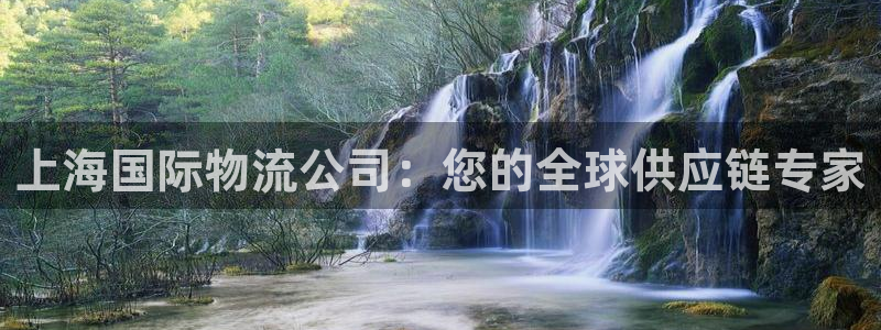 28圈注册：上海国际物流公司：您的全