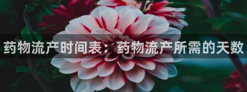 28圈模拟