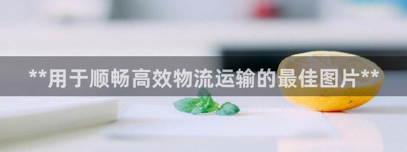 28圈登录网