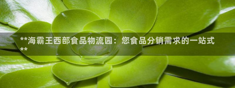 28圈.ccmpc28：**海霸王西